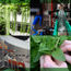 A grand green comeback for Grand Hyatt Singapore