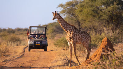 Cox & Kings offers curated travel experiences across Africa, Egypt, Peru, and Jordan, incorporating safari lodges, riverboats, and philanthropic projects through A&K Philanthropy.