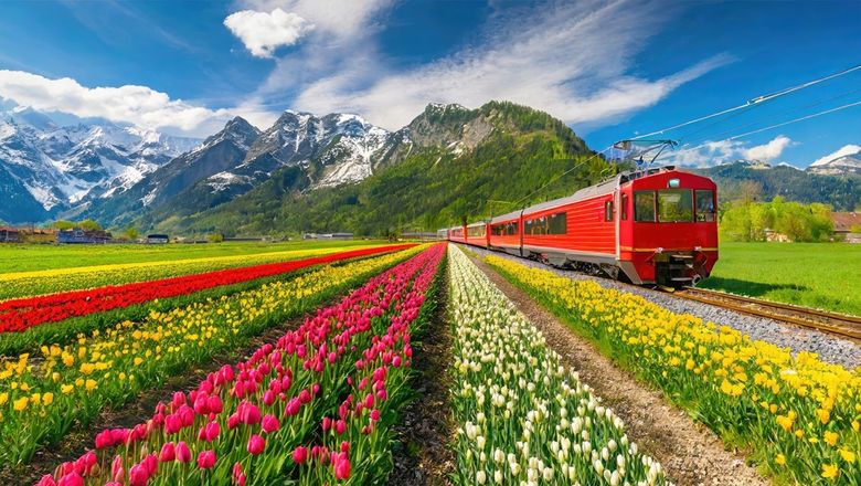 The Good Night Train makes stops at several prominent European cities including Brussels, Antwerp, Rotterdam, Amsterdam, Berlin, Dresden, and Prague.