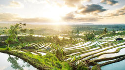 The new helipad at Bali’s Jatiluwih Rice Terraces, opening in March 2025, offers VIP access without disrupting the cultural integrity of the UNESCO-listed site.