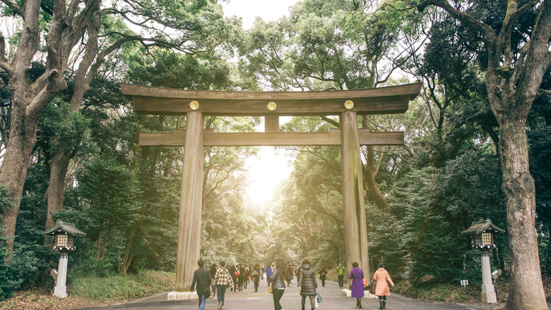 Some 35% of Japanese surveyed say that they don't intend to travel ever again.