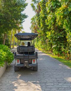 Grand Oasis Tulum Riviera