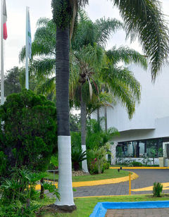 Holiday Inn Morelia