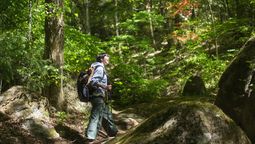 The top trending activities for Asia in particular are cultural activities, hiking, culinary, cycling, and photography (wildlife and nature).
