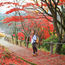 Japan, get ready for the influx of Singapore tourists