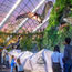 Jurassic World roars to life in Gardens by the Bay
