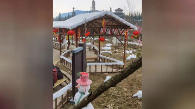 Chengdu Snow Village explained that the fake snow was used because warmer-than-expected weather during the Lunar New Year prevented natural snowfall.