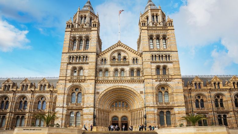 The Natural History Museum offers quiet spaces, sensory maps, trained staff, and autism-friendly events, ensuring an inclusive and supportive experience for neurodivergent visitors.