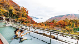 Hakone Kowakien Yunessun is a hot spring theme park in Japan, offering unique, themed baths, including wine, coffee, and green tea, along with traditional onsen experiences.